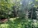 Backyard wooded scenery, perfect for relaxing and enjoying nature at 2143 Sunderland Dr, Martinsville, IN 46151