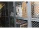 Secured storage units offering tenants a private space for belongings in a gated metal cage at 5347 N College Ave # Apt 109, Indianapolis, IN 46220