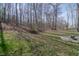 Scenic backyard with natural light and lush greenery, enhanced by the tranquil woods at 7980 S State Road 135, Columbus, IN 47201