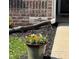 Landscaped yard with colorful flower pot at 10869 Spirit Dr, Ingalls, IN 46048