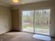 Enclosed patio area with slider glass door, offering views of a wooded back yard at 10949 Harness Way, Indianapolis, IN 46239
