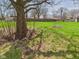 Large backyard with mature trees, green grass, and a wood fence, providing ample space for activities at 3913 Eastern Dr, Anderson, IN 46012