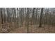 Wooded area surrounding property at 4743 Little Hurricane Rd, Martinsville, IN 46151