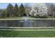 View of backyard pond with fountain and manicured lawn and landscaping at 6712 Forrest Commons Blvd, Indianapolis, IN 46227