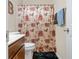 Well-lit bathroom featuring a shower with a curtain, a dark rug, and a single sink vanity at 7574 Merrick Dr, Brownsburg, IN 46112