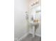 Powder room with pedestal sink, decorative mirror, and modern finishes at 12344 Bearsdale Dr, Indianapolis, IN 46235