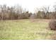 Grassy field with bare trees and undergrowth, bordered by a tree line at 3110 S County Road 225 East, Danville, IN 46122