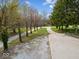 Long driveway leads to trees and grassy yards beneath a blue sky with white clouds at 3308 S 600 E Rd, Waldron, IN 46182