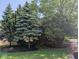 Landscaped yard featuring a variety of trees, bushes, and wood mulch at 1024 Foltz St, Indianapolis, IN 46241