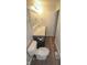 Updated bathroom with laminate countertop, modern fixtures, toilet, and vinyl floor at 2862 Punto Alto Ct, Indianapolis, IN 46227