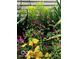 Close up of a backyard flower garden featuring yellow and magenta blooms at 317 E 37Th St, Indianapolis, IN 46205