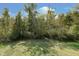 Large, freshly cut backyard, surrounded by lush green trees and brush under a bright blue sky at 4196 Parliament Way, Avon, IN 46123
