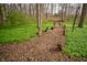 Scenic walking path with wood chips and lush greenery leading through the property at 5918 Camelback Ct, Indianapolis, IN 46250