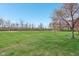 Serene backyard with mature trees and open green space, providing a private retreat at 10934 Haig Point Dr, Fishers, IN 46037