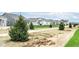 Community street view with freshly planted evergreen trees lining the street at 159 Derringer Ave, Westfield, IN 46074