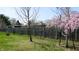 Fenced backyard with grass and a flowering tree at 8142 Bentley Farms Dr, Indianapolis, IN 46259