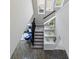 Stylish staircase with carpet and white trim, complemented by blue chairs, creating an inviting space at 14059 Knightstown E Dr, Carmel, IN 46033
