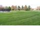 Well-manicured community lawn and green space including playground and picnic area for residents to enjoy at 1559 Redsunset Dr, Brownsburg, IN 46112