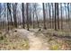 Scenic path through a wooded area, providing a tranquil and natural setting for outdoor activities at 1559 Redsunset Dr, Brownsburg, IN 46112