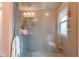 Bathroom featuring an all-glass shower with showerhead and window at 524 N Meridian St, Lebanon, IN 46052