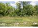 A spacious backyard with vibrant green grass, enclosed by a chain-link fence and lush trees at 745 Stone Trace Ct, Avon, IN 46123
