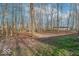 Expansive backyard with mature trees and a mix of grassy and bare areas, offering privacy at 10614 W Hickory Ct, Quincy, IN 47456