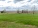 Spacious backyard with green grass, wood fence, and beautiful landscape at 13151 Walters Rd, Martinsville, IN 46151