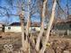 Spacious backyard featuring mature trees and a detached garage, providing a private outdoor space at 3844 Esquire Ct, Indianapolis, IN 46226