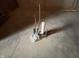 Plumbing sticking up out of the basement floor at 6089 W Hellis Dr, Muncie, IN 47304