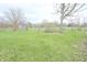 View of an expansive backyard, featuring mature trees and green grass at 7421 Rogers Dr, Indianapolis, IN 46214
