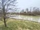 Scenic view of the pond with trees in the background, reflecting the clear sky at 8201 E 250 S, Zionsville, IN 46077