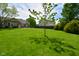 Lush backyard with green lawn, young tree, wooden privacy fence, and a patio, perfect for outdoor activities at 10622 Young Lake Dr, Indianapolis, IN 46239