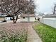 View of the detached garage with a blooming tree, and pink petals strewn about at 648 W South St, Shelbyville, IN 46176
