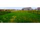 A fully fenced-in backyard with green grass, and a view of a pond and nearby homes at 8160 Nik St, Brownsburg, IN 46112