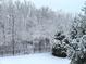 Backyard view showcasing the beauty of winter with snow-covered trees and a black metal fence at 11863 Edgefield Dr, Fishers, IN 46037