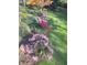 Beautifully landscaped garden featuring a variety of colorful flowering plants along the lawn at 11863 Edgefield Dr, Fishers, IN 46037