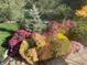 Colorful landscaping featuring a vibrant mix of flowers, decorative stone, and a manicured evergreen tree at 11863 Edgefield Dr, Fishers, IN 46037