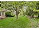 Spacious backyard featuring a large tree, well-maintained lawn, and landscaping, providing a serene outdoor space at 13778 Driftwood Dr, Carmel, IN 46033
