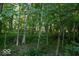 Secluded backyard with trees and lush greenery at 23219 Marin Dr, Cicero, IN 46034