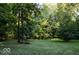 Expansive backyard with mature trees and green lawn at 23219 Marin Dr, Cicero, IN 46034