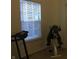 Finished basement area showing fitness equipment next to a bright, windowed wall at 3643 Reflections Ln # 5, Indianapolis, IN 46214
