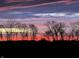 A row of trees is silhouetted against a vibrant sunset sky, creating a striking contrast and a picturesque scenery at 5679 S 675 W, New Palestine, IN 46163