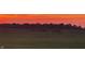 Panoramic landscape showcasing sprawling grassy fields meeting a colorful horizon during sunset, embodying tranquility and open space at 5679 S 675 W, New Palestine, IN 46163