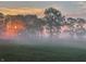 Scenic view of misty landscape at dawn with trees silhouetted against a bright sky at 5679 S 675 W, New Palestine, IN 46163