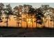 Sunrise through the trees illuminating a foggy landscape at 5679 S 675 W, New Palestine, IN 46163