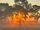 Scenic landscape at sunrise with the sun shining through the trees, creating a tranquil and enchanting atmosphere at 5679 S 675 W, New Palestine, IN 46163