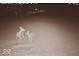 Captured in a night shot, two deer in a yard create a serene wildlife encounter at 5679 S 675 W, New Palestine, IN 46163