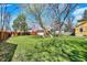 Well-maintained backyard with green lawn and mature trees offers a serene outdoor retreat at 3484 Birchwood Ave, Indianapolis, IN 46205