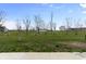Expansive backyard with lush green grass and scattered trees under a bright sky at 4831 E Oak Hill E Dr, Lebanon, IN 46052