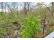 View of a creek in the backyard with surrounding trees and foliage from a high angle perspective at 8695 Shoe Overlook Dr, Fishers, IN 46038